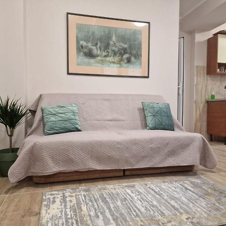 Laroka House Beautiful Apartment Universitate Center ブカレスト エクステリア 写真