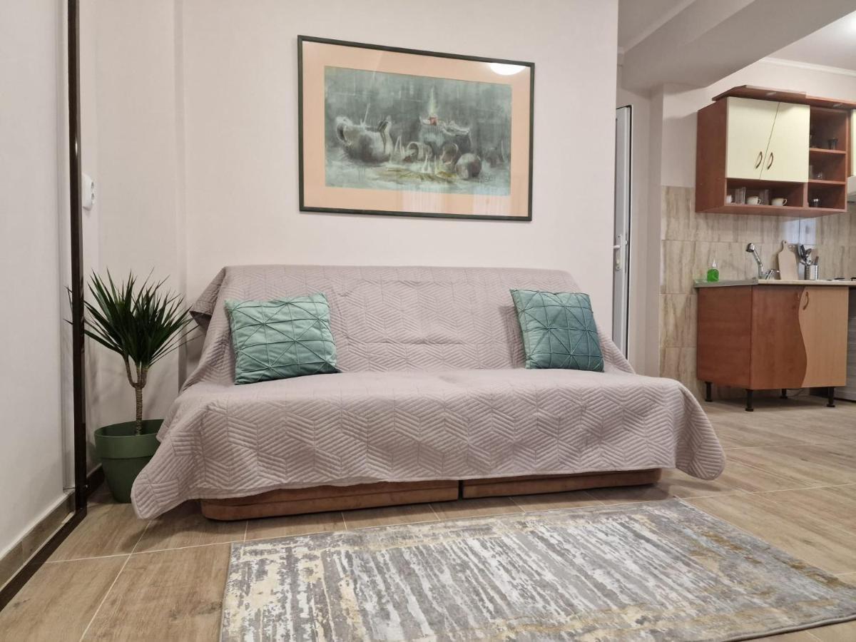 Laroka House Beautiful Apartment Universitate Center ブカレスト エクステリア 写真